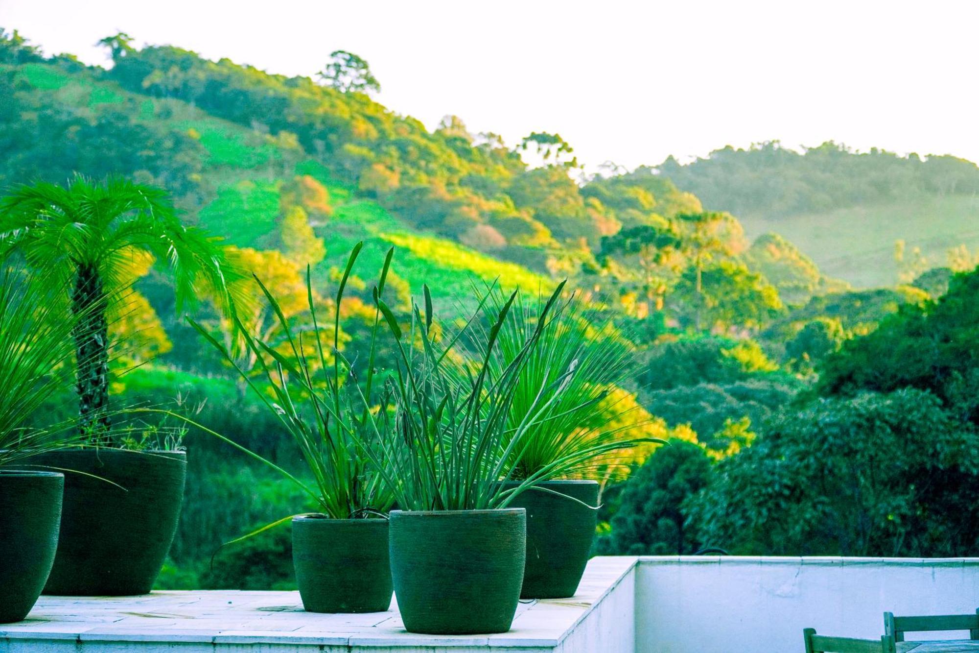 Pousada Highland Santo Antônio do Pinhal Exterior foto